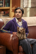 Imagen de The Big Bang Theory (T10): Ep.18 La identificación de la escotilla de escape - 6