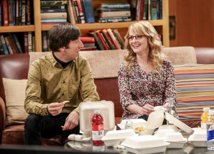 Imagen de The Big Bang Theory (T10): Ep.18 La identificación de la escotilla de escape - 8