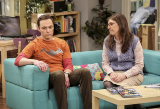 Imagen de The Big Bang Theory (T10): Ep.18 La identificación de la escotilla de escape - 10