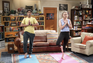 Imagen de The Big Bang Theory (T10): Ep.19 La fluctuación de la colaboración - 7