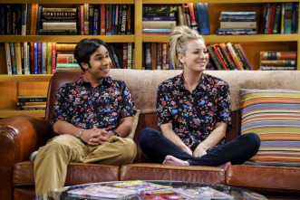 Imagen de The Big Bang Theory (T10): Ep.19 La fluctuación de la colaboración - 9