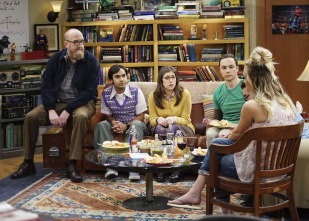 Imagen de The Big Bang Theory (T10): Ep.21 La agitación de la separación - 4