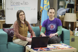 Imagen de The Big Bang Theory (T10): Ep.21 La agitación de la separación - 8