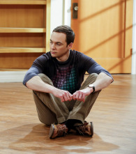 Imagen de The Big Bang Theory (T10): Ep.23 El hundimiento giroscópico - 1