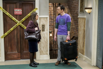 Imagen de The Big Bang Theory (T10): Ep.23 El hundimiento giroscópico - 3