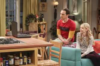Imagen de The Big Bang Theory (T10): Ep.24 La disonancia de la larga distancia - 8