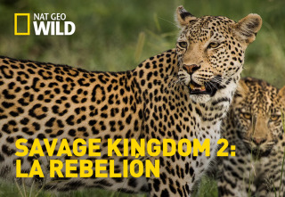 Imagen de Savage Kingdom 2: La...: El enemigo interior - 2
