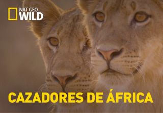 Cazadores de África: El príncipe perdido