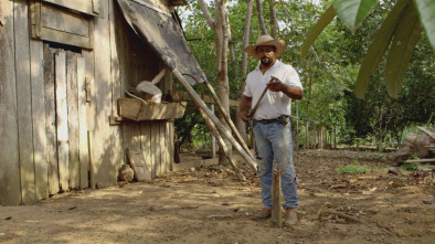 Imagen de A las puertas del...: Amenazados - Amazona brasileña - 2