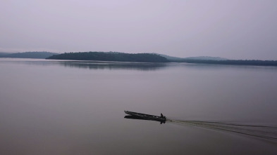 Imagen de A las puertas del...: Amenazados - Amazona brasileña - 3