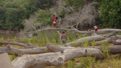 Imagen de A las puertas del...: Amenazados - Amazona brasileña - 7