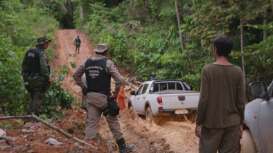 Imagen de A las puertas del...: Amenazados - Amazona brasileña - 8