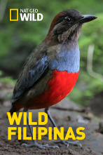 Imagen de Wild Filipinas: Paraíso salvaje - 1