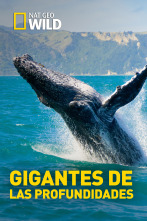Imagen de Gigantes de las profundidades - 1