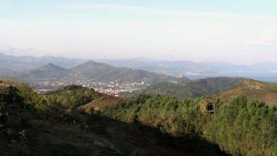 Imagen de A merced del viento - 1