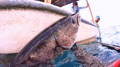 Imagen de De viaje: Darién a toda costa - 4