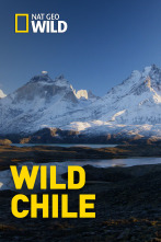 Wild Chile: La vida sin agua