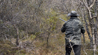 Imagen de Becadas, un regalo del invierno - 2