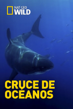 Cruce de océanos