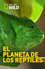 Imagen de El planeta de los reptiles - 1