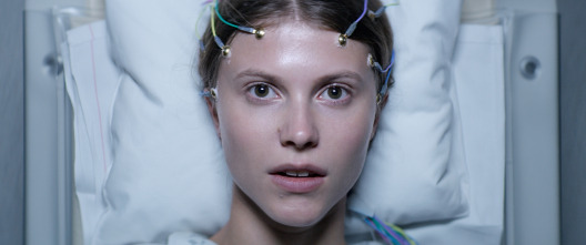 Imagen de Thelma - 4