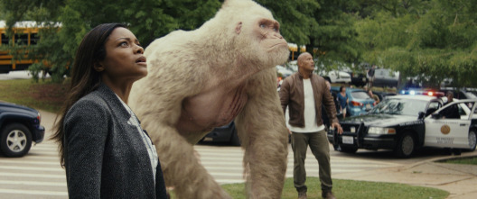Imagen de Proyecto Rampage - 9