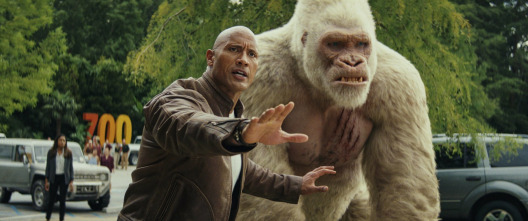 Imagen de Proyecto Rampage - 11
