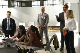 Imagen de Bull (T2) - 10