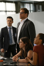 Imagen de Bull (T2) - 12