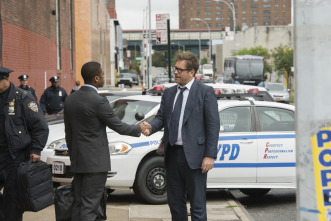Imagen de Bull (T2) - 14
