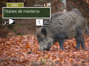 Imagen de Titanes de montería - 2