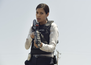Imagen de S.W.A.T.: Los hombres de Harrelson (T2) - 7