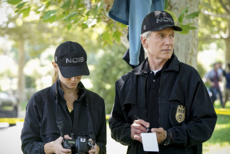 Imagen de Navy: Investigación criminal (T16) - 6