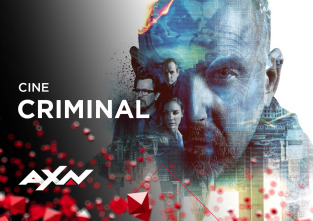 Imagen de Criminal - 4