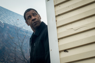 Imagen de (LSE) - The Equalizer 2 - 7