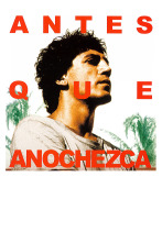 Imagen de Antes que anochezca - 1