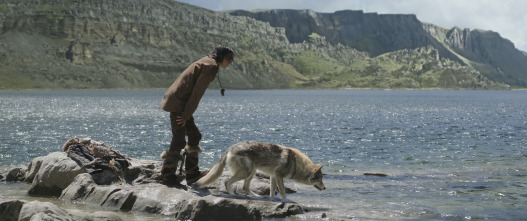 Imagen de Alpha - 13