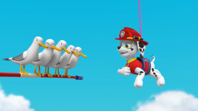 Imagen de La Patrulla Canina (T3): La Patrulla encuentra a un genio / La Patrulla salva a un equilibrista - 1
