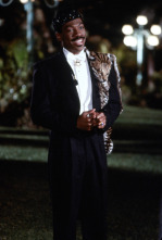 Imagen de El príncipe de Zamunda - 5