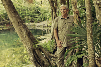 Imagen de Yucatán - 10