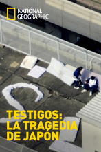 Testigos: la tragedia de Japón