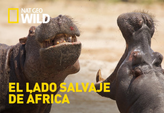 El lado salvaje de África: Nacido para sobrevivir