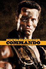 Imagen de Comando - 1