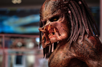 Imagen de Predator - 3