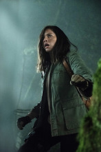 Imagen de Predator - 12