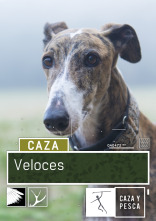 Imagen de Veloces  - 1