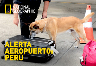 Imagen de Alerta Aeropuerto 3: Perú: Ep.6 - 2