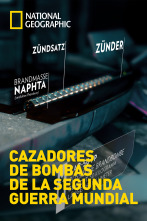 Imagen de Cazadores de bombas de la Segunda Guerra Mundial - 1