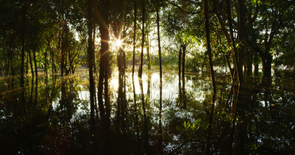 Imagen de Grandes ríos: Amazonas - 5
