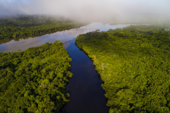 Grandes ríos: Amazonas